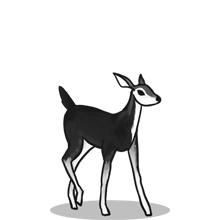 商业智能分析的{固定网站名称23}